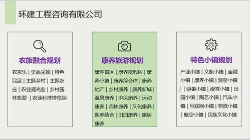 安國社會穩定風險評估報告 信息系統集成服務公司的專業能力分析